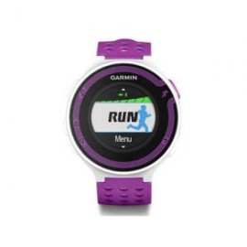 Garmin Forerunner 220